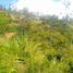  Terreno (Parcela) en venta en Sumurbandung, West Jawa, Sumurbandung, Bandung