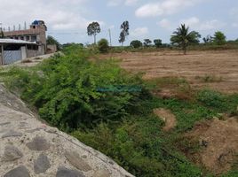  Terreno (Parcela) en venta en Zarumilla, Tumbes, Aguas Verdes, Zarumilla