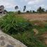  Land for sale in Zarumilla Tumbes, Aguas Verdes