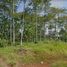  Land for sale in Bogor, West Jawa, Bogor Selatan, Bogor