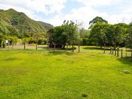  Grundstück zu verkaufen in San Pedro De Vilcabamba, Loja, San Pedro De Vilcabamba, Loja