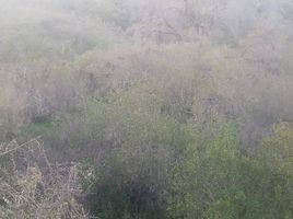  Terreno (Parcela) en venta en Melipilla, Santiago, Melipilla, Melipilla