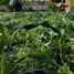  Terreno (Parcela) en venta en Padalarang, West Jawa, Padalarang, Bandung
