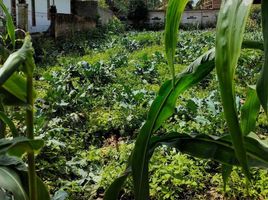  Terreno (Parcela) en venta en Padalarang, West Jawa, Padalarang, Bandung