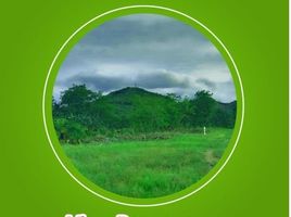  Land for sale in South Sulawesi, Duapitue, Sidenreng Rappang, South Sulawesi