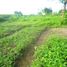  Land for sale in Sukawati, Gianyar, Sukawati