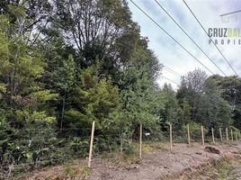  Land for sale in Los Lagos, Puerto Montt, Llanquihue, Los Lagos