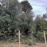  Land for sale in Los Lagos, Puerto Montt, Llanquihue, Los Lagos