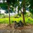  Land for sale in Yogyakarta, Mlati, Sleman, Yogyakarta