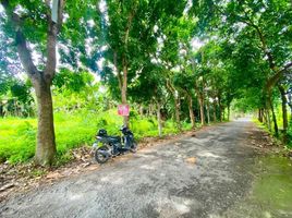  Land for sale in Yogyakarta, Mlati, Sleman, Yogyakarta