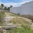  Grundstück zu verkaufen in Othon P Blanco, Quintana Roo, Othon P Blanco
