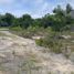  Grundstück zu verkaufen in Othon P Blanco, Quintana Roo, Othon P Blanco