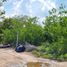  Land for sale in Lazaro Cardenas, Quintana Roo, Lazaro Cardenas