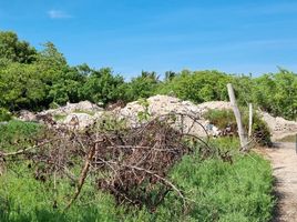  Land for sale in Lazaro Cardenas, Quintana Roo, Lazaro Cardenas