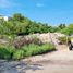  Land for sale in Lazaro Cardenas, Quintana Roo, Lazaro Cardenas