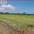  Land for sale in Kerambitan, Tabanan, Kerambitan