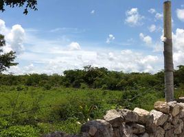  Terreno (Parcela) en venta en Ixil, Yucatán, Ixil, Yucatán, México