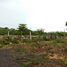  Terreno (Parcela) en venta en Ixil, Yucatán, Ixil, Yucatán, México