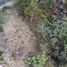  Terreno (Parcela) en venta en Cabo Corrientes, Jalisco, Cabo Corrientes