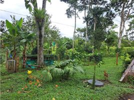 Estudio Casa en venta en Colombia, Armenia, Quindio, Colombia