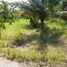  Land for sale in Selemadeg, Tabanan, Selemadeg