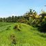  Land for sale in Selemadeg, Tabanan, Selemadeg