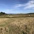  Terreno (Parcela) en venta en Llanquihue, Los Lagos, Frutillar, Llanquihue