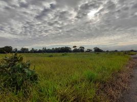  Terreno (Parcela) en venta en Casanare, Yopal, Casanare