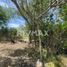 Land for sale in Nombre De Dios, Durango, Nombre De Dios