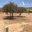 Land for sale in San Pedro, Santiago, San Pedro