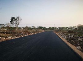  Terreno (Parcela) en venta en Yaxkukul, Yucatán, Yaxkukul