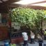 3 Habitación Casa en venta en Tenggilis Mejoyo, East Jawa, Tenggilis Mejoyo