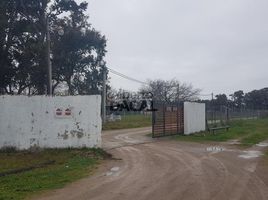  Land for sale in La Plata, Buenos Aires, La Plata