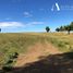  Land for sale in Chile, Los Muermos, Llanquihue, Los Lagos, Chile