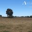  Land for sale in Chile, Los Muermos, Llanquihue, Los Lagos, Chile