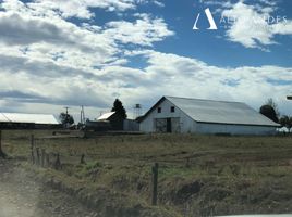  Land for sale in Chile, Los Muermos, Llanquihue, Los Lagos, Chile