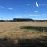  Land for sale in Chile, Los Muermos, Llanquihue, Los Lagos, Chile