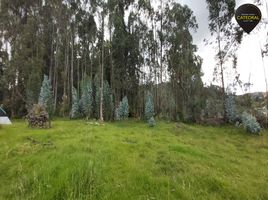  Terreno (Parcela) en venta en Chiquintad, Cuenca, Chiquintad