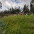  Land for sale in Azuay, Chiquintad, Cuenca, Azuay