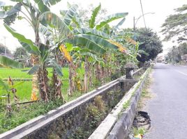  Terreno (Parcela) en venta en Seyegan, Yogyakarta, Seyegan
