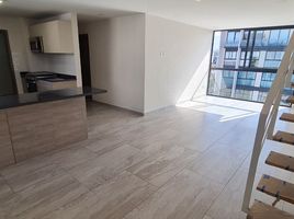 Condominium 3 chambre à vendre à Alvaro Obregon, Mexico City, Alvaro Obregon
