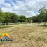  Terreno (Parcela) en venta en Piura, Piura, Piura, Piura