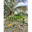  Terreno (Parcela) en venta en Piura, Piura, Piura, Piura
