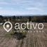  Terreno (Parcela) en venta en Chile, Paillaco, Valdivia, Los Ríos, Chile