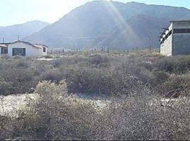  Grundstück zu verkaufen in Ensenada, Baja California, Ensenada