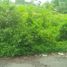  Terreno (Parcela) en venta en Gamping, Yogyakarta, Gamping