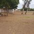  Land for rent in Culiacan, Sinaloa, Culiacan, Sinaloa