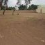  Land for rent in Culiacan, Sinaloa, Culiacan, Sinaloa