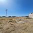  Land for sale in Leon Guanajuato, Leon