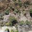  Land for sale in La Paz Baja California Sur, La Paz, Baja California Sur